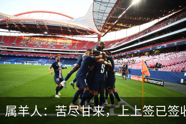 属羊人：苦尽甘来，上上签已签收，八十一难已过完，无灾无难